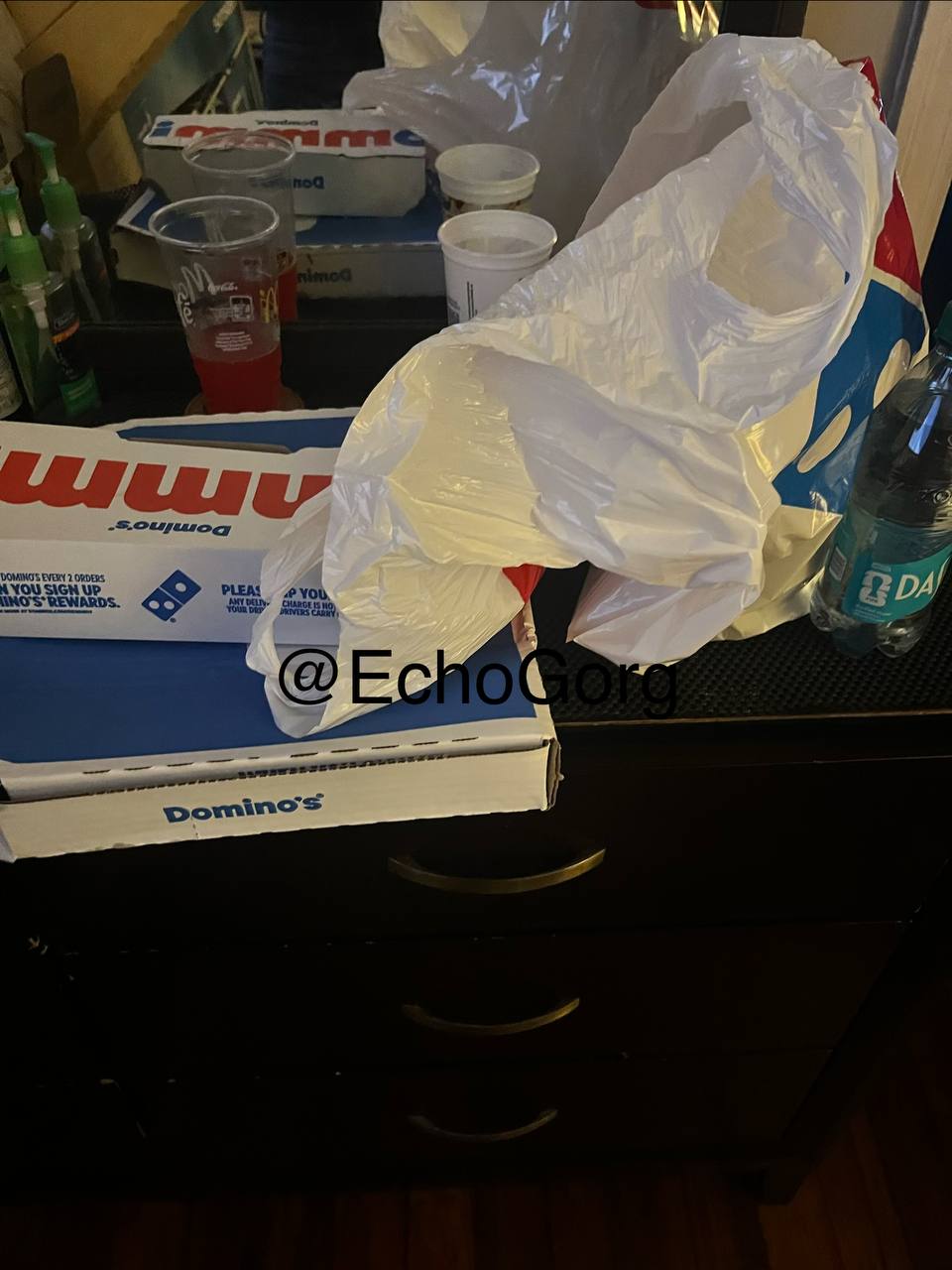 Domino's — food order delivered